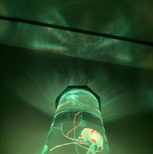JellyAura Lamp™ - AuraLamps™